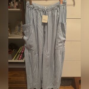 Free People Light Blue Quinn Pants 
NWT XS